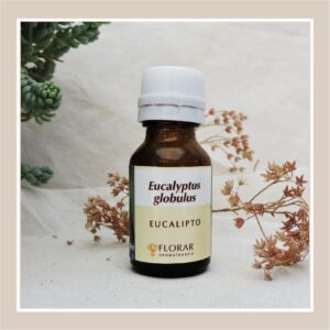 Eucalipto (Eucalyptus globulus) 10 ml