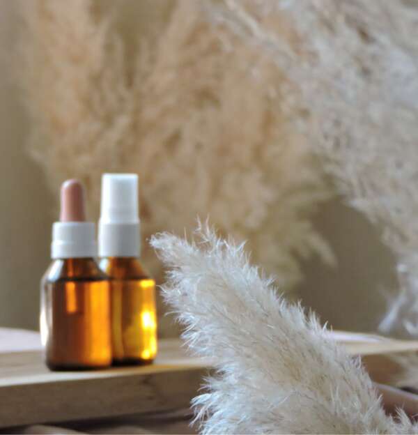 Taller Perfumería Terapéutica & Energética Online (en vivo)